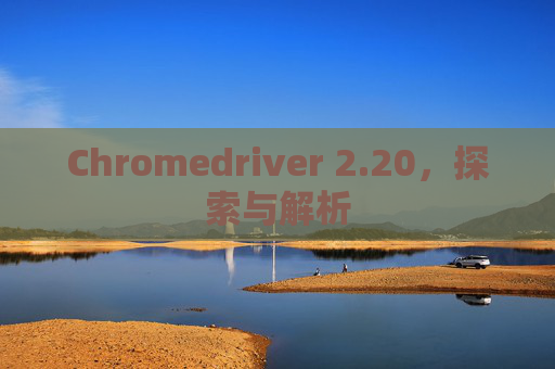 Chromedriver 2.20，探索与解析
